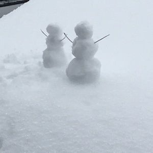 Meet your Posher, Connor